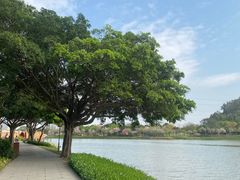 -顺峰山公园