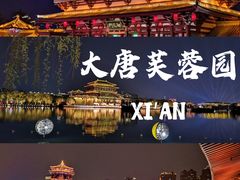 -西安城墙·碑林历史文化景区