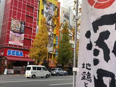 -秋叶原电器街