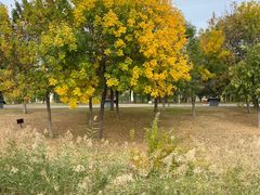 -武清南湖绿博园