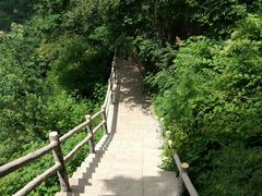 -牛背梁国家森林公园