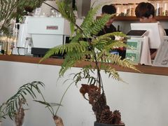 -日出青木·杭帮菜名店