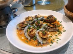 鲍鱼-南湖船菜大酒店