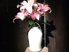 -觀芷隐轩