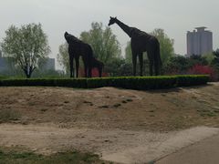 -莲花池公园