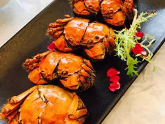 熟醉蟹-新光酒家·河豚·海鲜·蟹料理(浦东店)