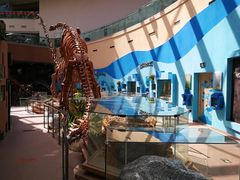 -陕西自然博物馆