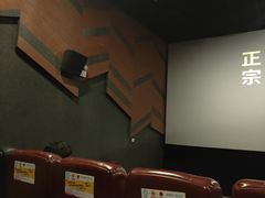 -汉阳天河电影城(王家湾店)