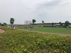 -迪茵湖田家舍生态农场