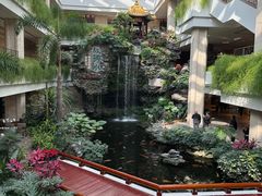 -白天鹅宾馆-宏图府餐厅