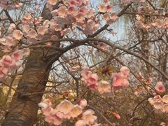-白塘生态植物园