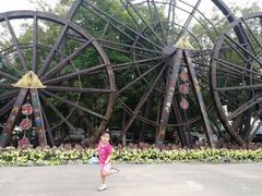 -北京呀路古热带植物园
