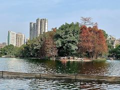-荔湾湖公园