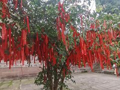 -金堂县云顶石城风景区