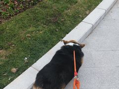 -申普宠物医院·眼科·心内科·影像科(普陀分院)