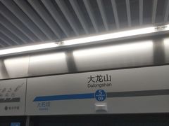-大龙山(地铁站)