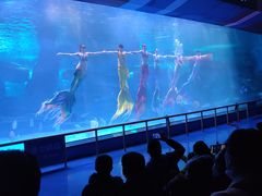 -泉城欧乐堡海洋极地世界
