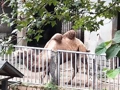 -杭州动物园