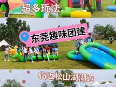 -松山湖南湖湾露营营地