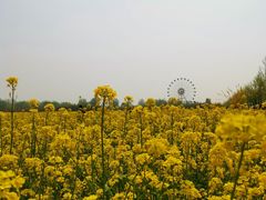 -兰陵国家农业公园