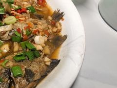 -全乐鱼馆·淳牌有机鱼直营店