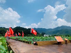 -古田会议纪念馆