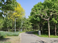 -东郊湿地公园