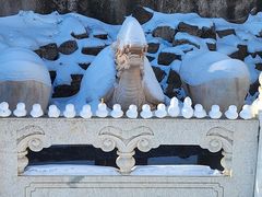 -蓟洲国际滑雪场