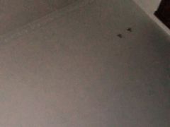 -茉莉餐厅(亳州高新万达广场希夷大道店)