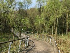 -西湖风景区-江洋畈生态公园