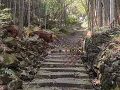 -会稽山峡洞漂流-上青古道