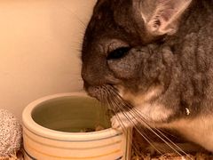 -龙猫仔乐园(惠福东路店)