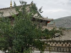 -瞿昙寺