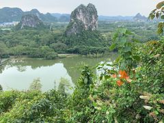 -南宁花花大世界景区