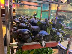 -魏铭鱼头捞饭(晋阳路店)