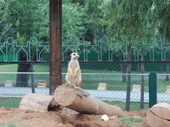-秦皇岛野生动物园