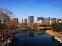 -大兴滨河森林公园