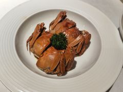 -月湖萃·上海菜(思南公馆淮海店)