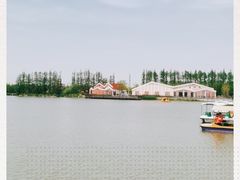 -上海长兴岛郊野公园