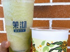 -茉沏(光启城店)