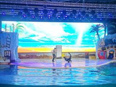 游乐设施-三亚海昌梦幻海洋不夜城