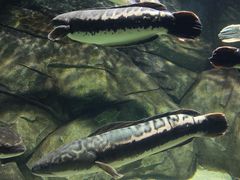 -泉城欧乐堡海洋极地世界