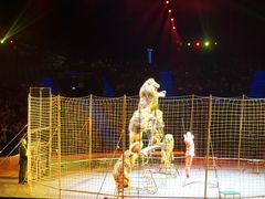 -珠海横琴长隆《卡卡虎奇遇记》