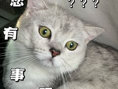 -亚宠动物医院·芭比堂宠物医院(盘龙店)