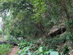 -炮台山公园