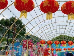 -温州乐园