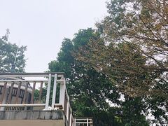 -广州国际生物岛山地公园揽胜园