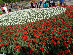 -长春公园(普阳街道)