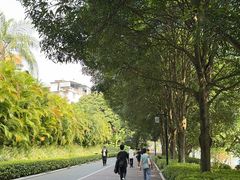 -南宁南湖公园