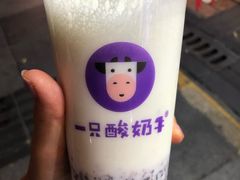 -一只酸奶牛(八一路店)